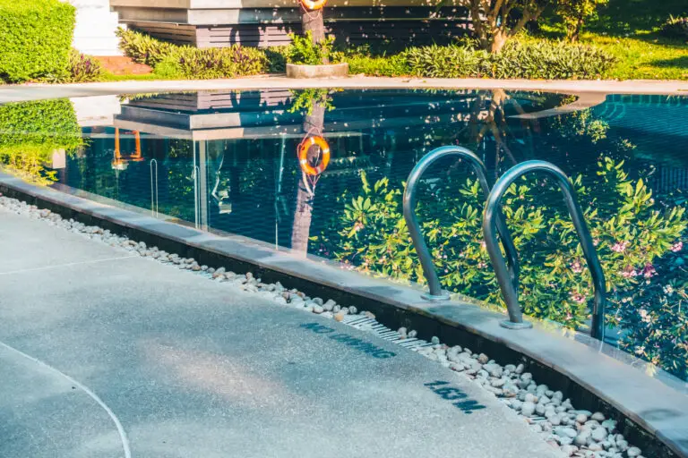 Sunny poolside scene with metal ladder, surrounded by greenery.